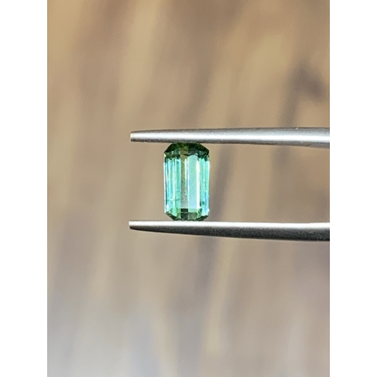 0.9ct  Tourmaline 