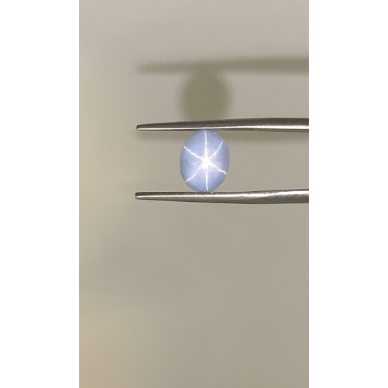 3.65ct Star Sapphire (NGI Certified) 